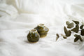 Bud vases